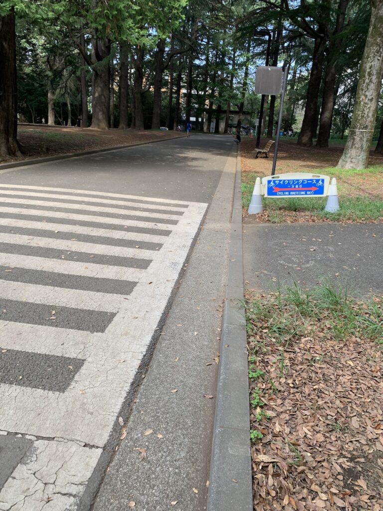 サイクリングコースも。